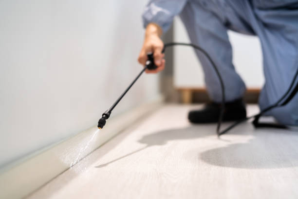 Licensed Cockroach Control service in Oxford, MI - Nex Pest Control
