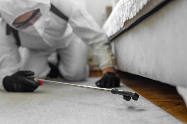 Professional Cockroach Control technician working in Oxford, MI