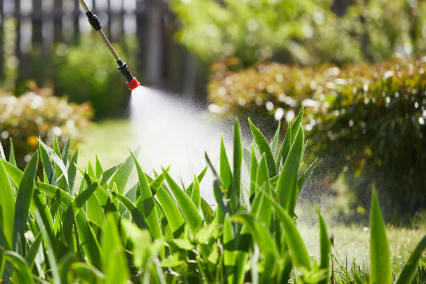 24/7 Emergency Cockroach Control experts in Oxford, MI