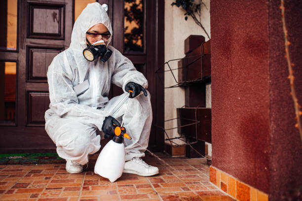 Reliable Cockroach Control contractor in Oxford, MI by Nex Pest Control
